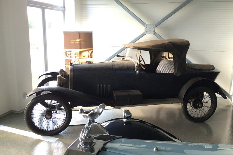 Salmson