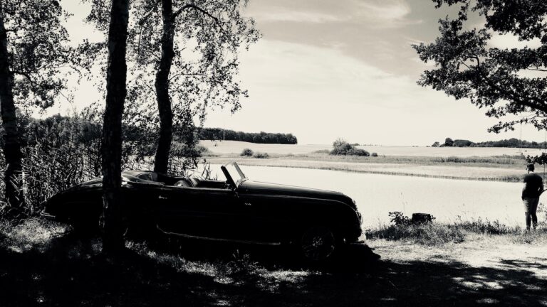 Drivers_dream_01