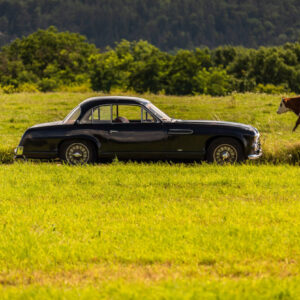 Delahaye Monte Carlo komplet - 041
