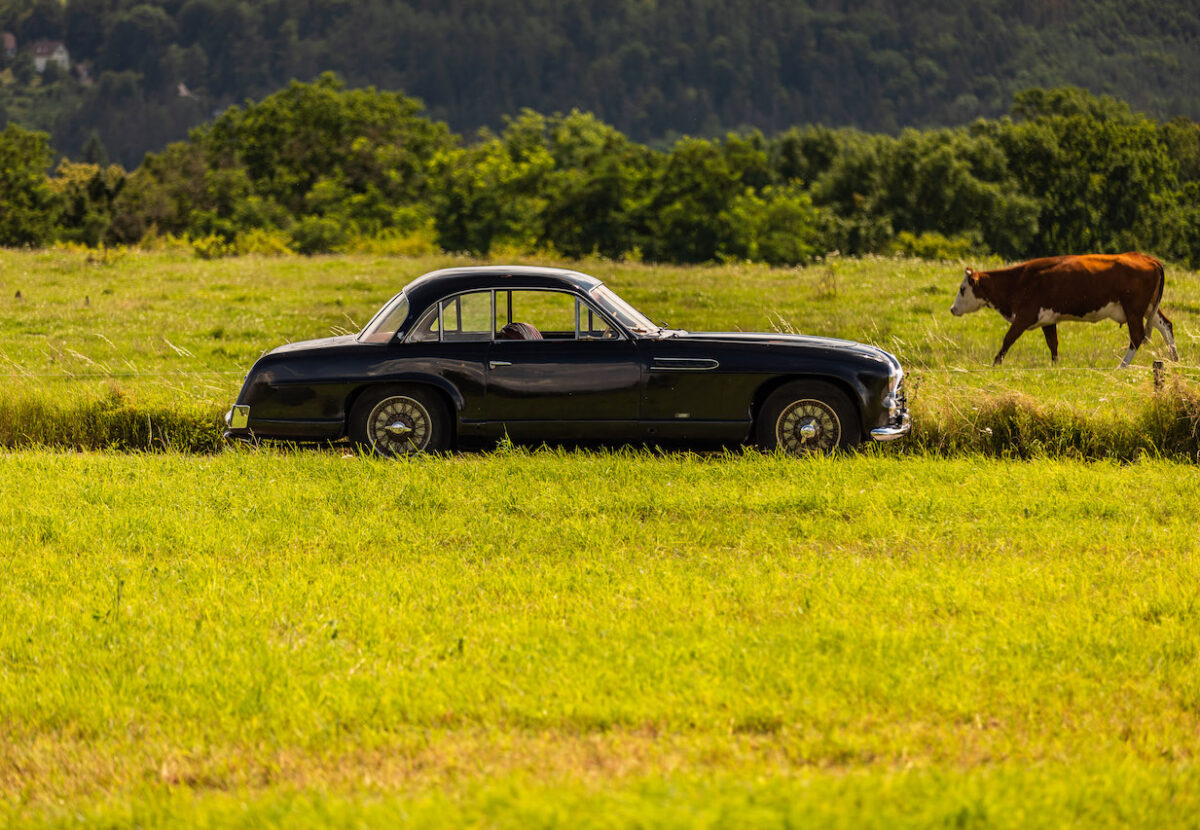 Delahaye Monte Carlo komplet - 041