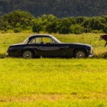 Delahaye Monte Carlo komplet - 041