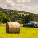 Delahaye Monte Carlo komplet - 042