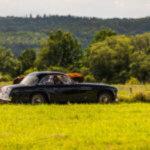 Delahaye Monte Carlo komplet - 044