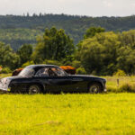 Delahaye Monte Carlo komplet - 044