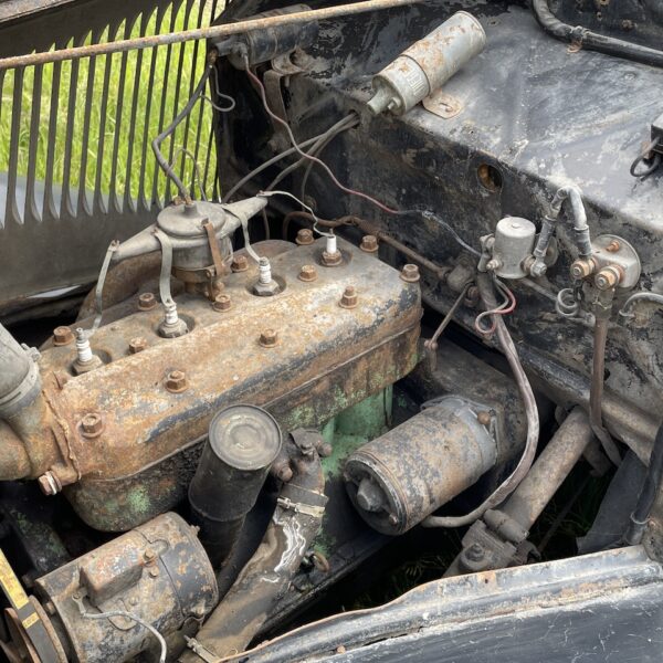 IMG_2296 IMG_2296