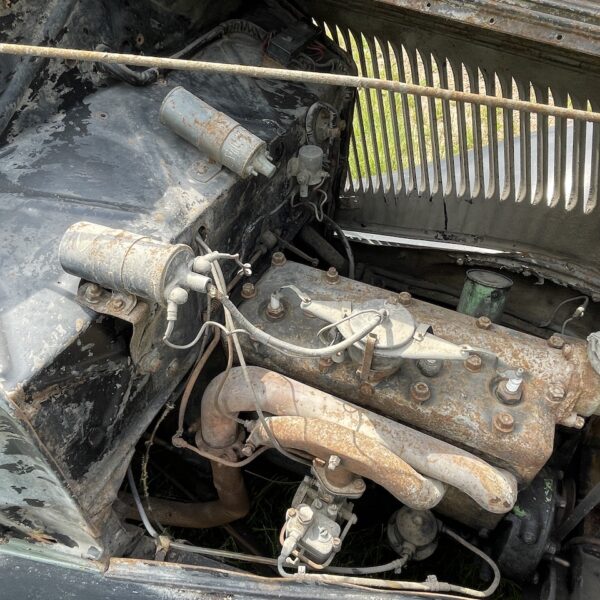 IMG_2298 IMG_2298
