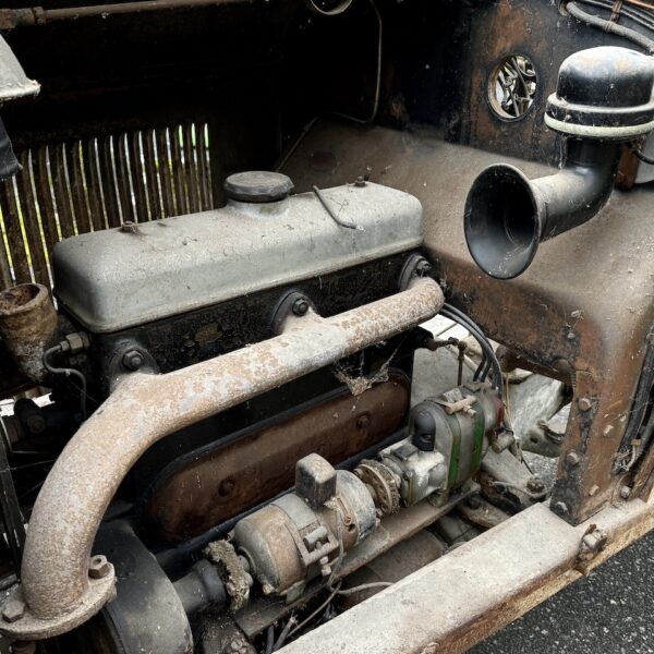 IMG_2959 IMG_2959