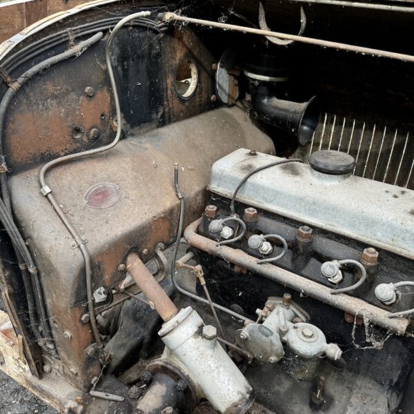 IMG_2967 IMG_2967