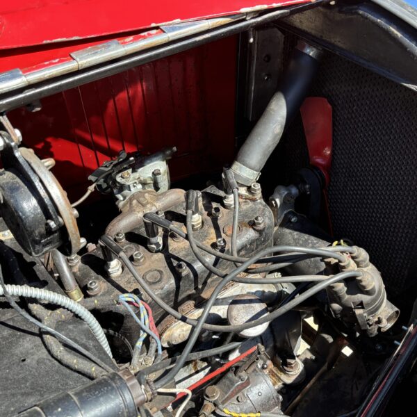 IMG_1141 IMG_1141