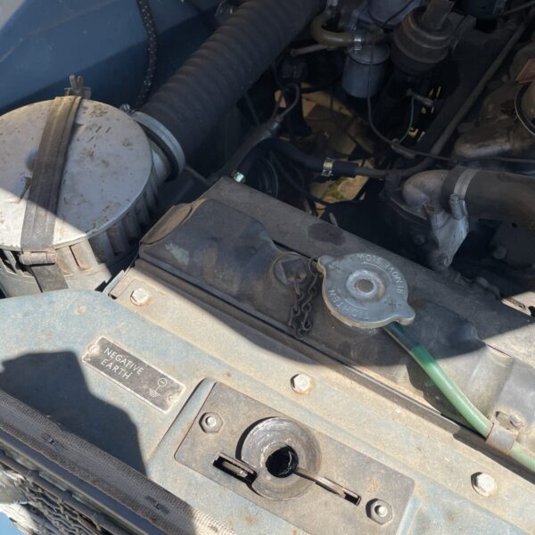 IMG_4531 IMG_4531