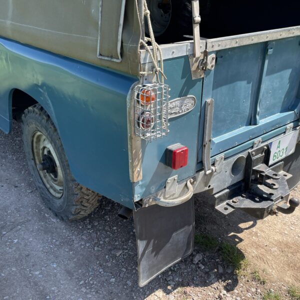 IMG_4553 IMG_4553